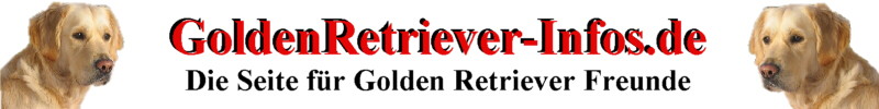 Golden Retriever Infos zum Hund